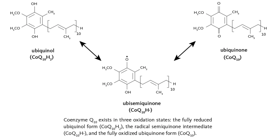 Coenzyme Q10