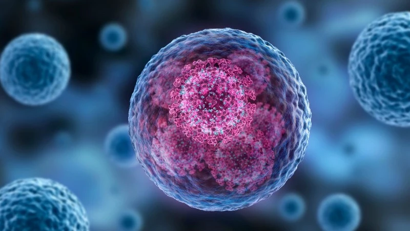 What-is-cellular-health-and-why-is-it-important-1280x720 What-is-cellular-health-and-why-is-it-important-1280x720