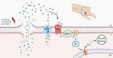 info-387-200 info-387-200