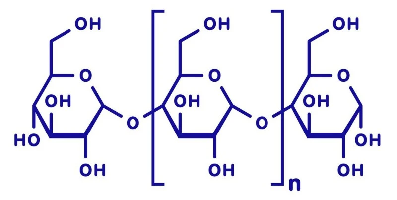 polysaccharide molecular formula polysaccharide molecular formula