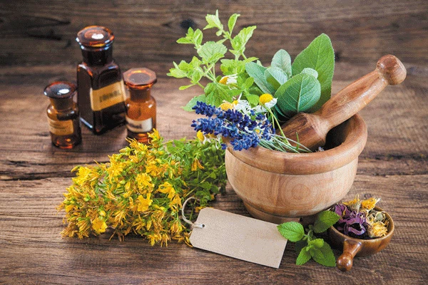 herbs-supplements-vitamins herbs-supplements-vitamins