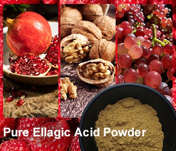 Qaysi ovqatlar eng ko'p ellagik kislotani o'z ichiga oladi? ?