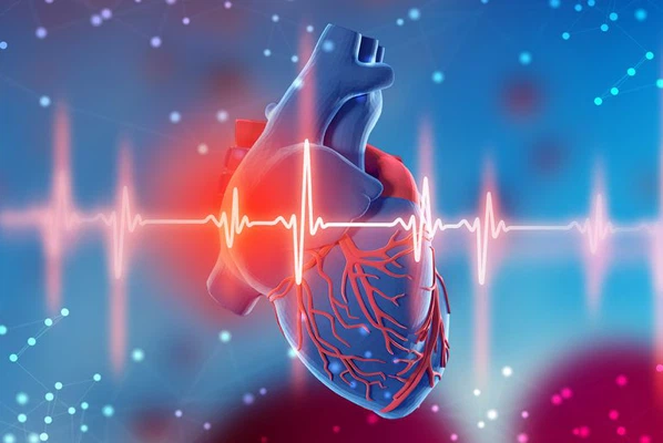 Cardiovascular Health Cardiovascular Health
