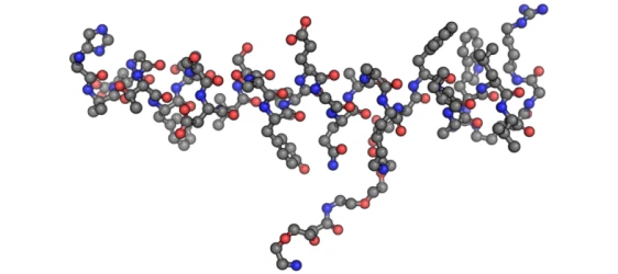 Semaglutide structure Semaglutide structure