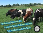 Parazitlarni nazorat qilishda rivojlanayotgan yutuqlar: chorvachilik va uy ha...