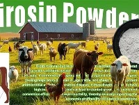 Uzoq vaqt davomida{0} ta'sir etuvchi antibiotiklar chorva salomatligini yaxsh...